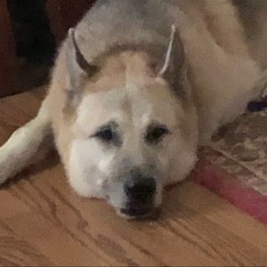 Meet your Posher, Anna